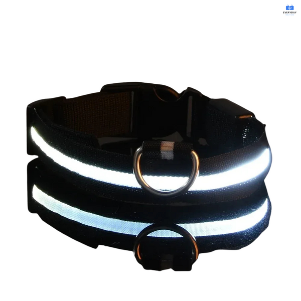 LED Dog Collar